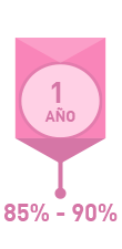 1 año